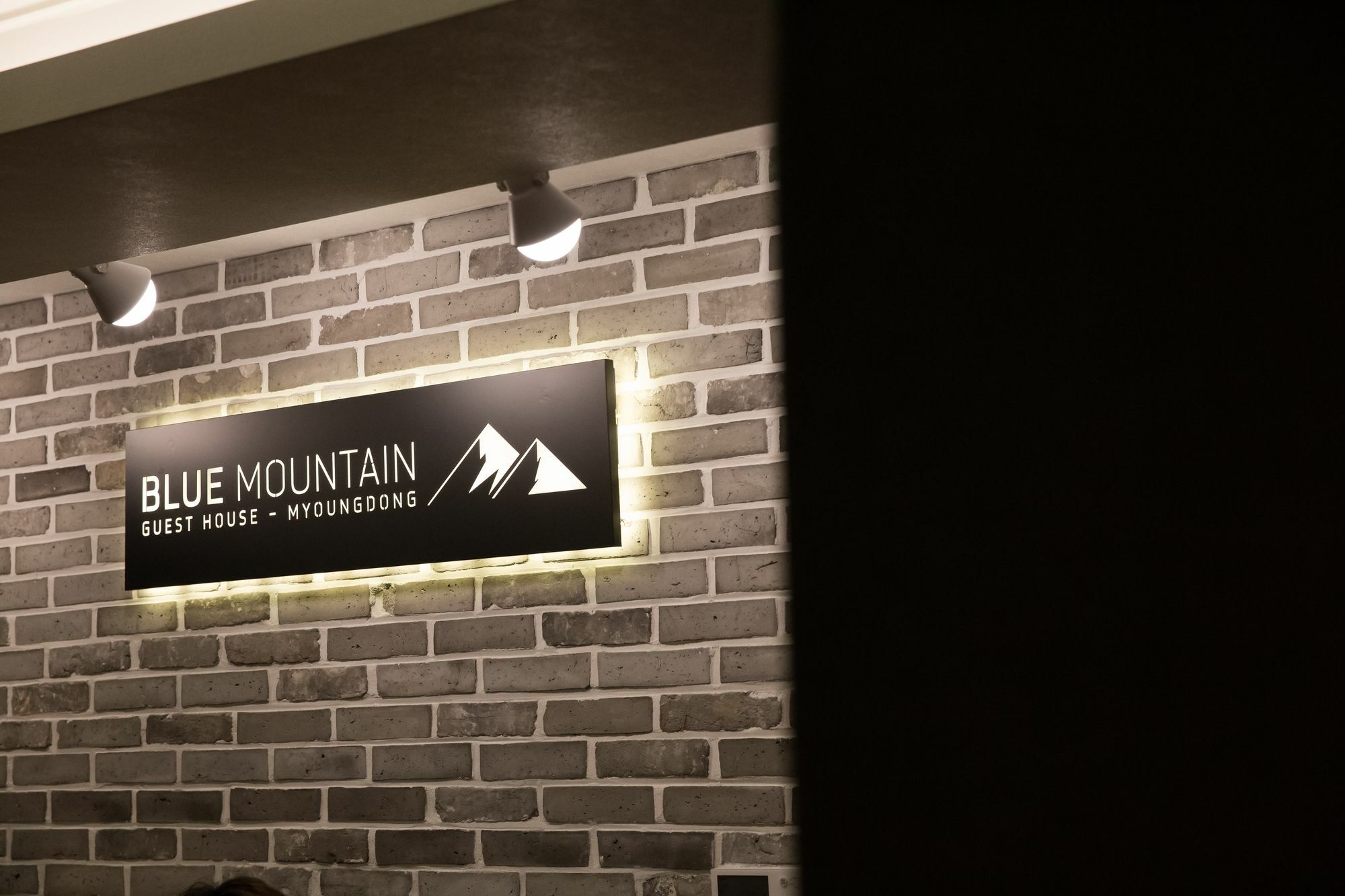 Blue Mountain Myeong-Dong Hotel Seul Exterior foto